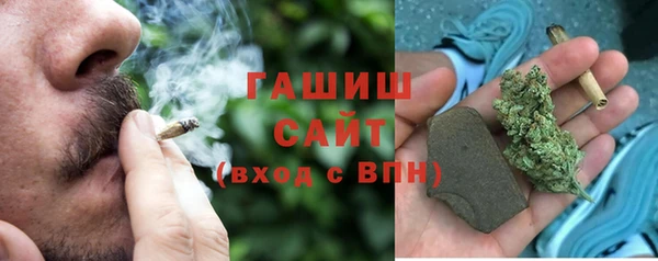 индика Горняк