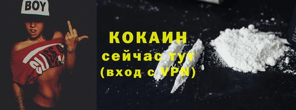 крисы Гусь-Хрустальный