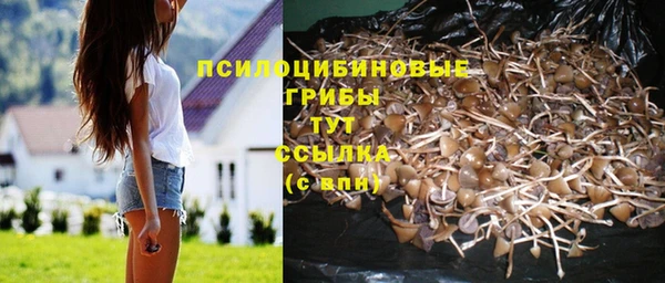 винт Гусев