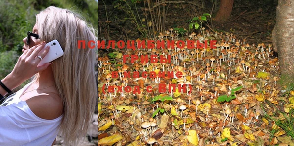 MESCALINE Гусиноозёрск