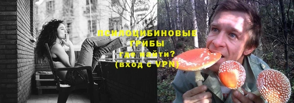 винт Гусев