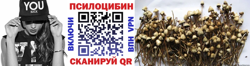 купить наркотик  Дорогобуж  Псилоцибиновые грибы прущие грибы 